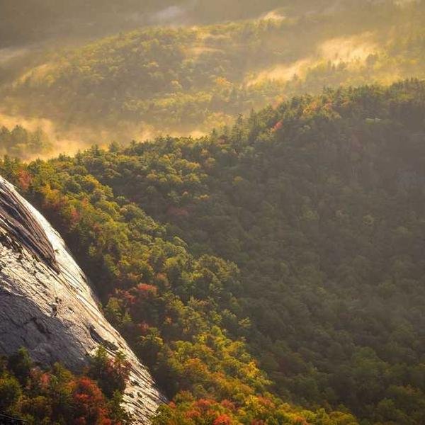 Condicionador Hidratante