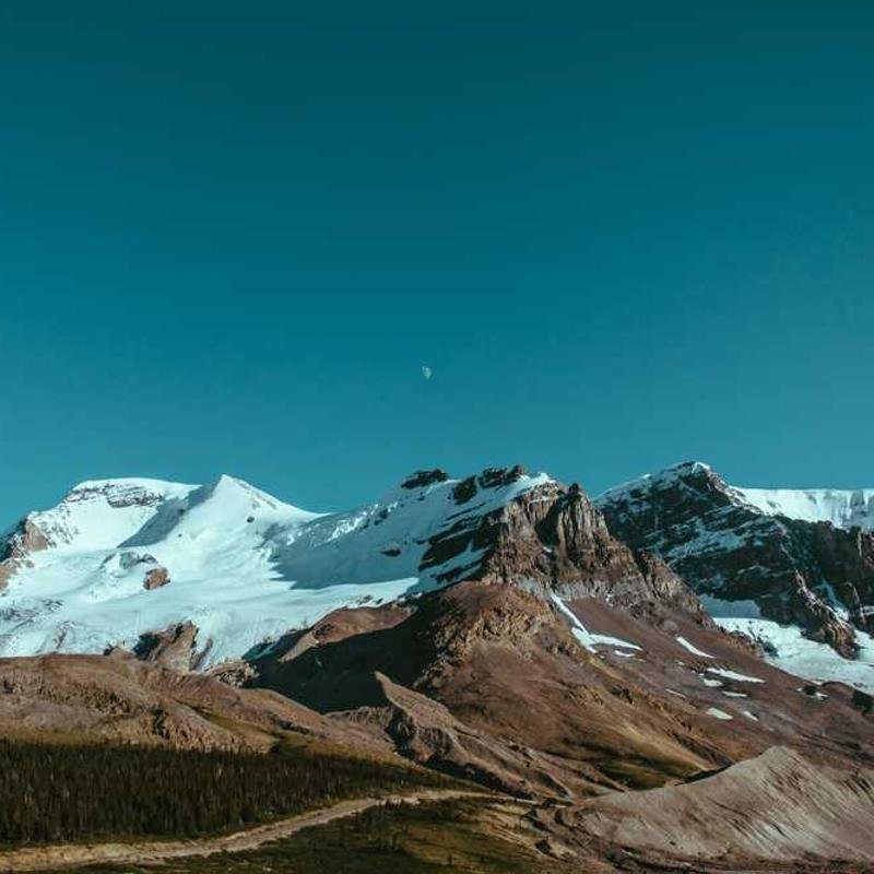 Vitamina D3 2000UI - 60 Cápsulas